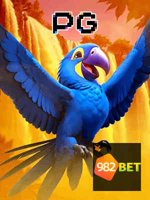 982BET bônus — cashback 15 por cento e níveis VIP